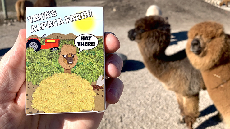 alpaca farm playing cards tuck box design