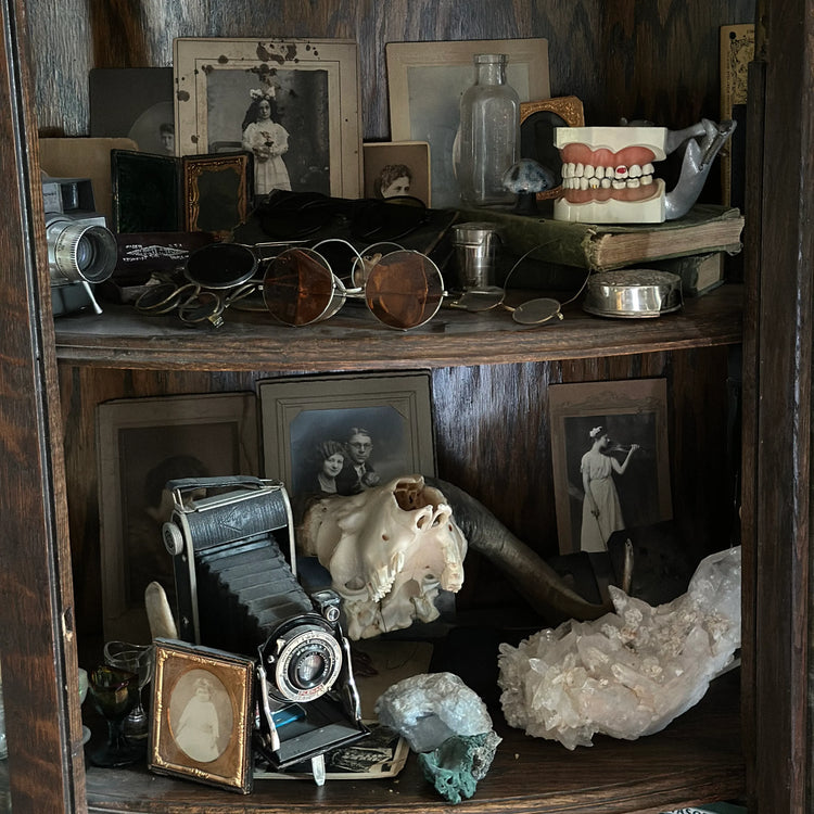 Shop