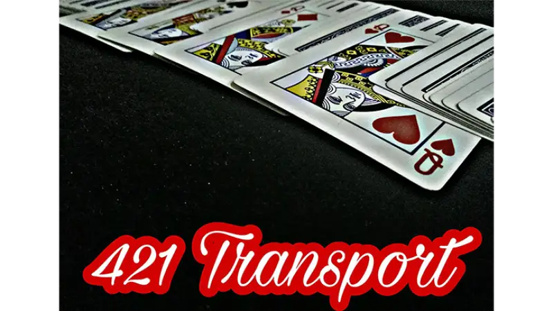 421 Transport by David Luu - Video Download