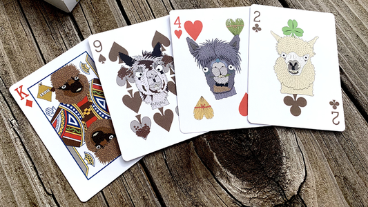 alpaca animal playing card deck artwork
