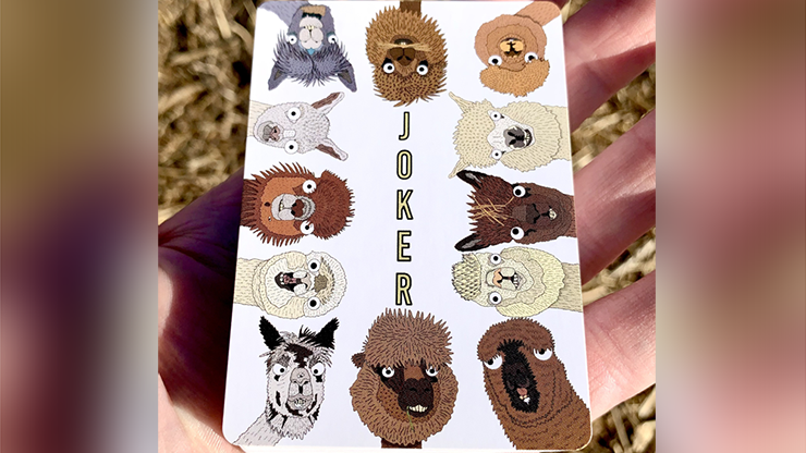 cute alpaca poker playing cards