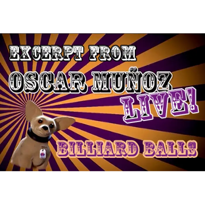 Billiard Balls by Oscar Munoz (Excerpt from Oscar Munoz Live) - Video Download