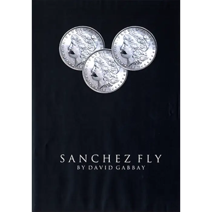 Sanchez Fly by David Gabbay - Video Download