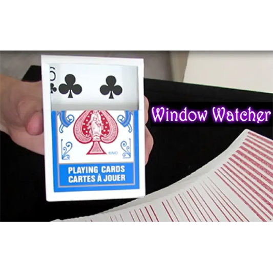 Window Watcher by Aaron Plener - - Video Download